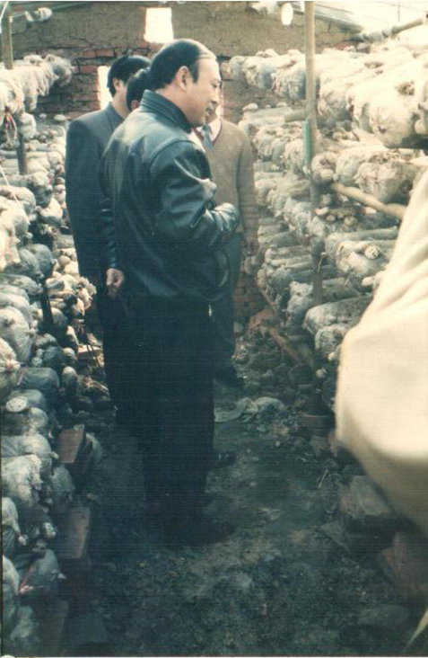 舞钢市委书记盛国民来公司种植基地视察工作